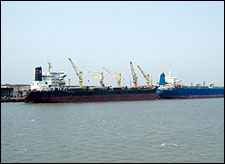 export-1