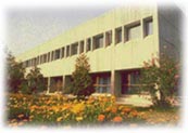 mti